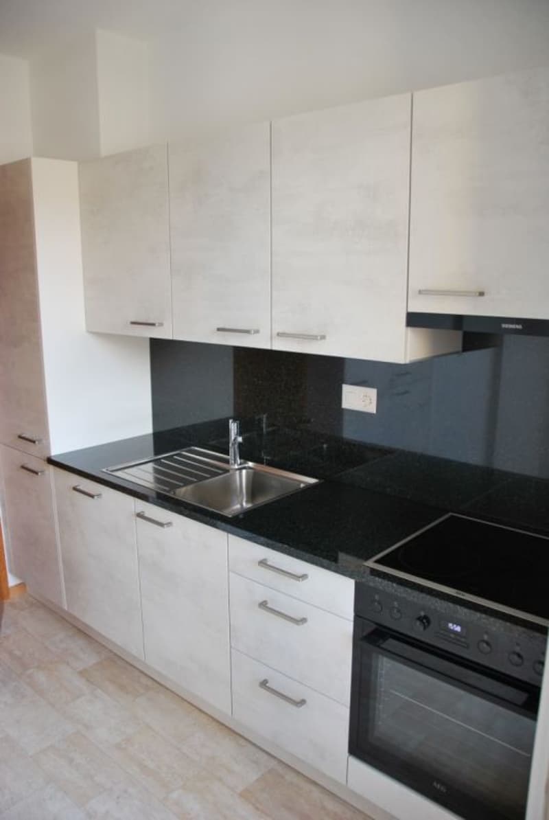 Cercasi subentrante appartamento ristrutturato recentemente in centro Lugano (2)
