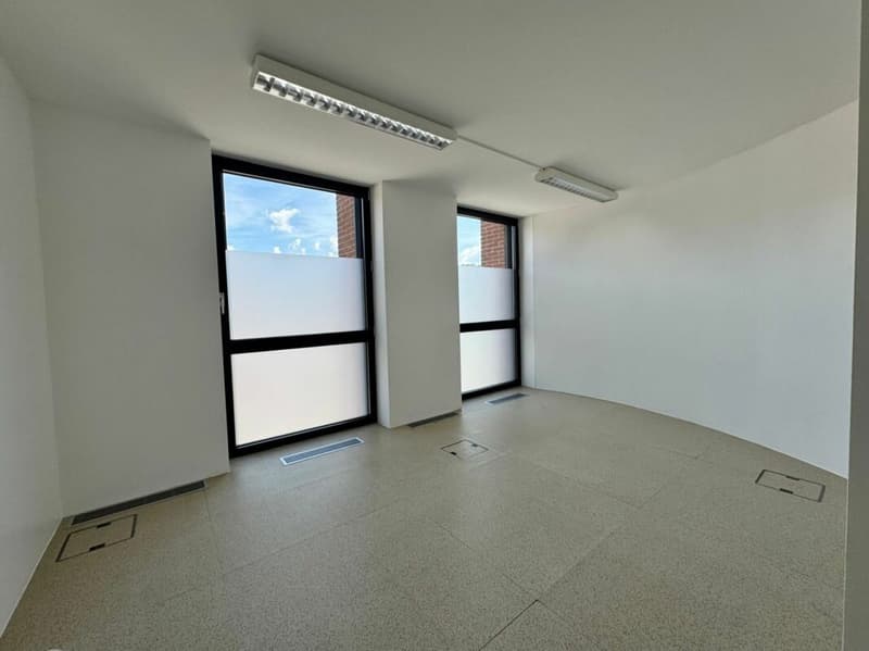 Ufficio di 3 locali in affitto - World Trade Center, Agno (3)