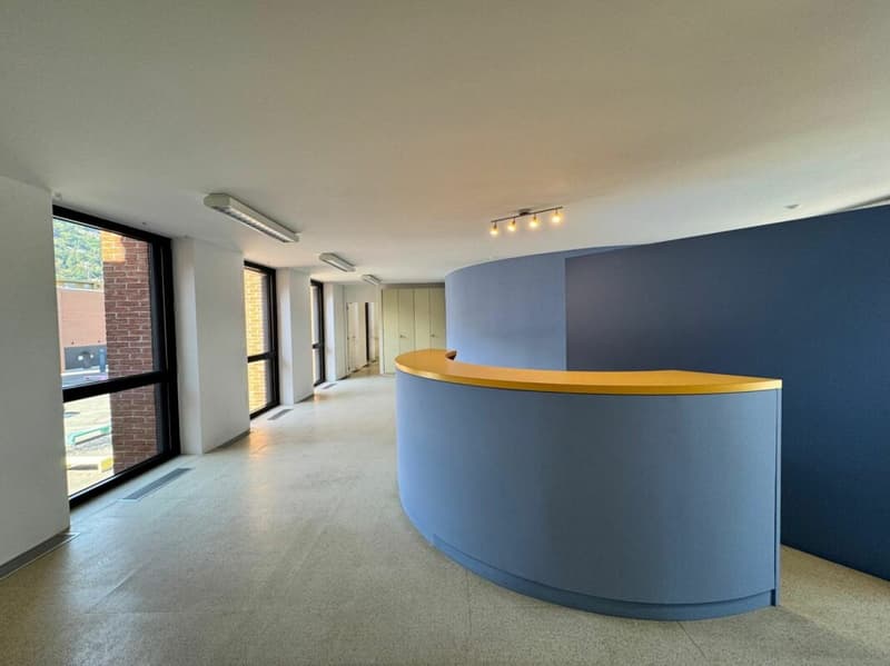Ufficio di 3 locali in affitto - World Trade Center, Agno (2)