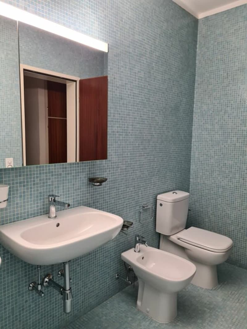 Affittasi spazioso 3.5 locali con vista lago (7)