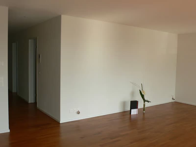 Helle 4.5-Zimmer-Wohnung mit Balkon in Dübendorf – sofort verfügbar! (6)