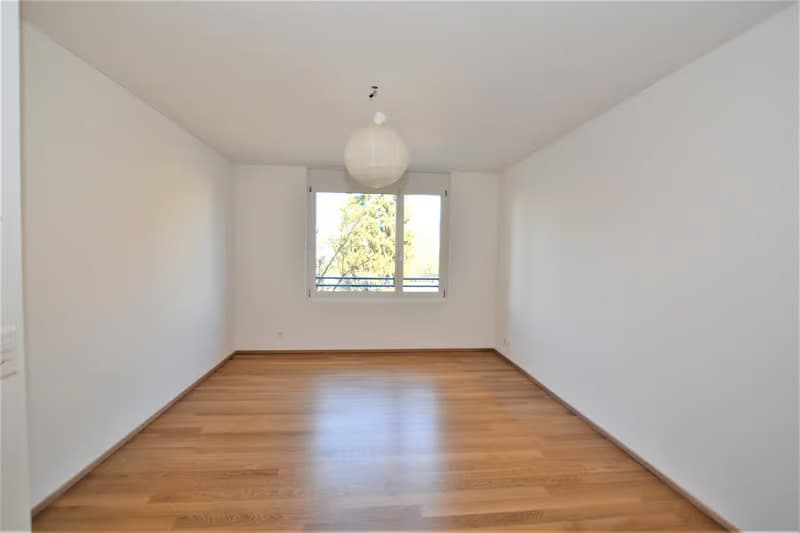 Loft Feeling im begehrten Bachlettenquartier (1)