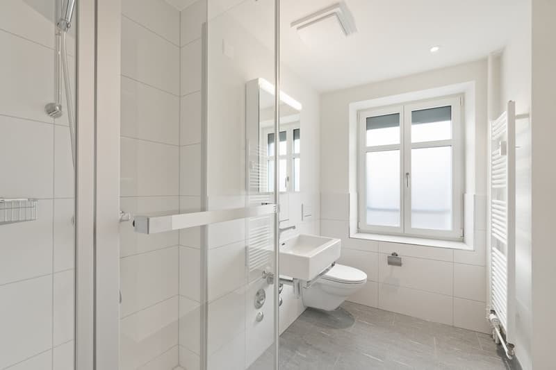 Charmante 1.5-Zimmer-Wohnung mit Balkon im Herzen von Zürich (5)