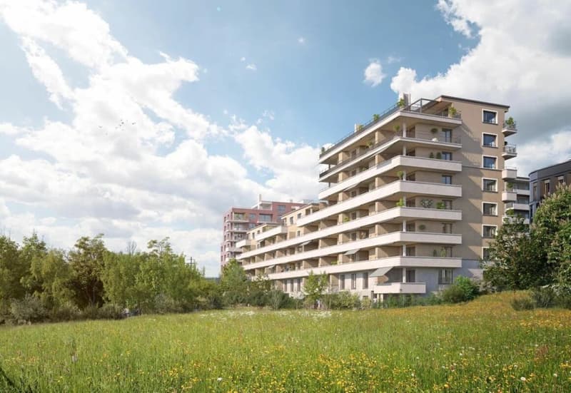 Helle 3.5-Zimmer-Wohnung mit Balkon im Lorzenpark, Cham (3)