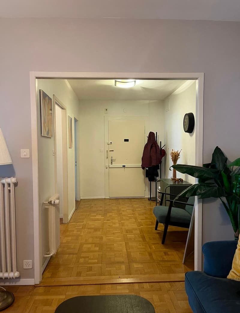 Apartment 3.5 Rooms (12)
