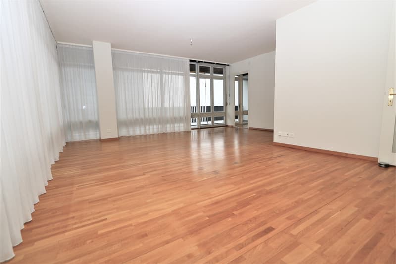 Spacieux appartement de 5 pièces à louer – Avenue De-Budé, Genève (11)