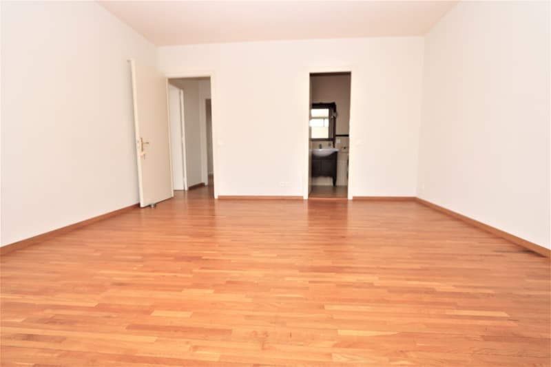 Spacieux appartement de 5 pièces à louer – Avenue De-Budé, Genève (9)
