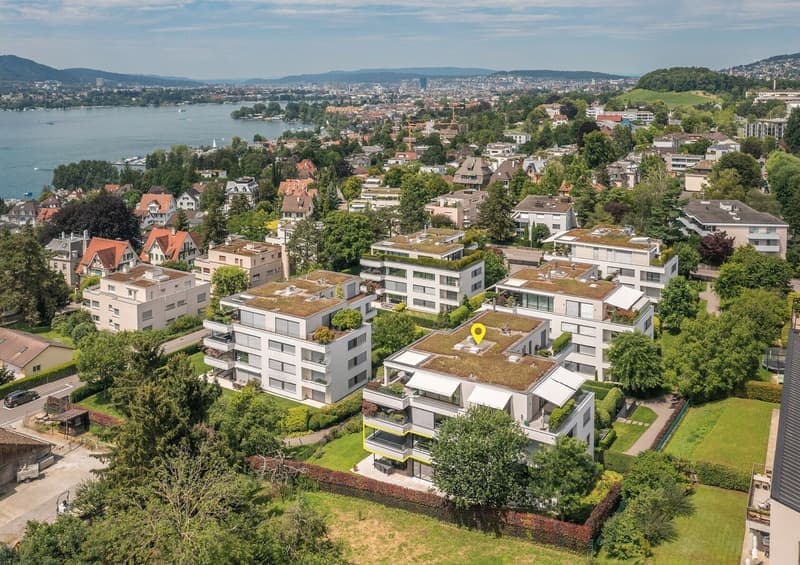 Eine Perle inmitten von Zollikon (5)