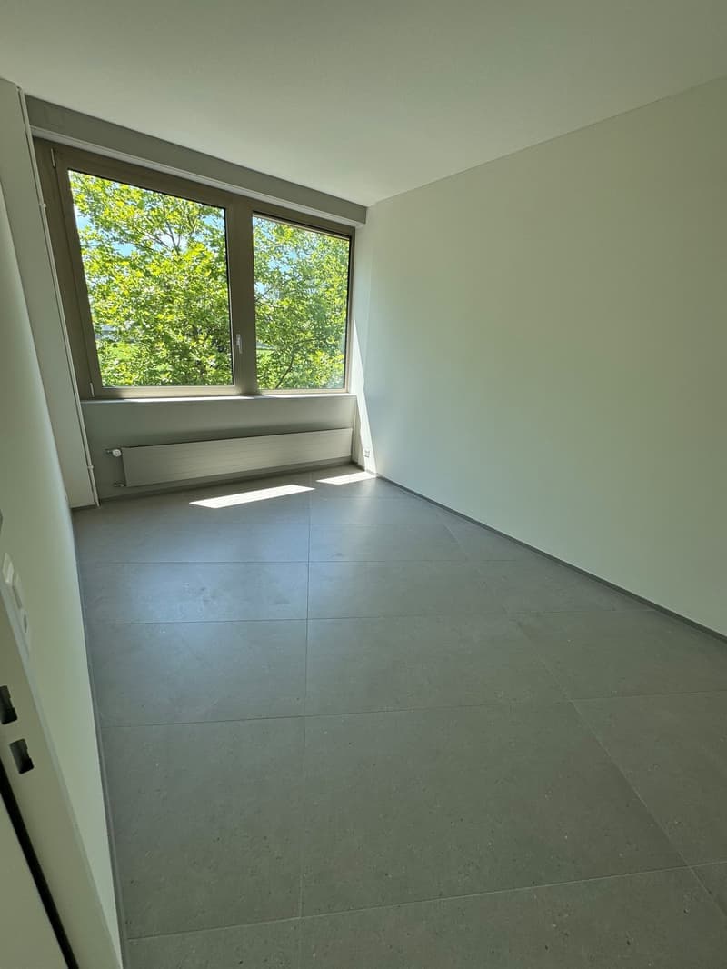 4.5 Zimmer-Attika-Wohnung in Steinhausen (18)