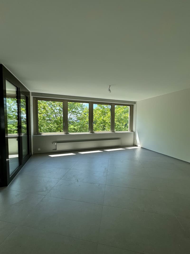 4.5 Zimmer-Attika-Wohnung in Steinhausen (15)