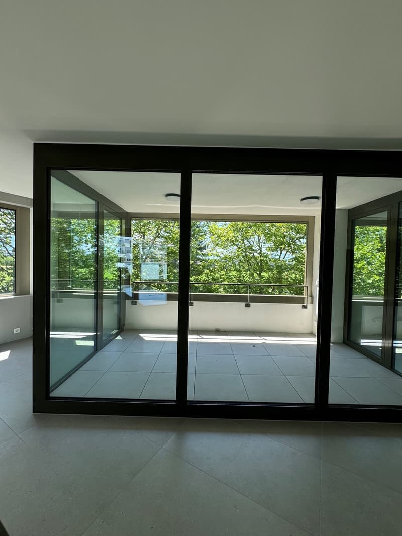 4.5 Zimmer-Attika-Wohnung in Steinhausen (3)