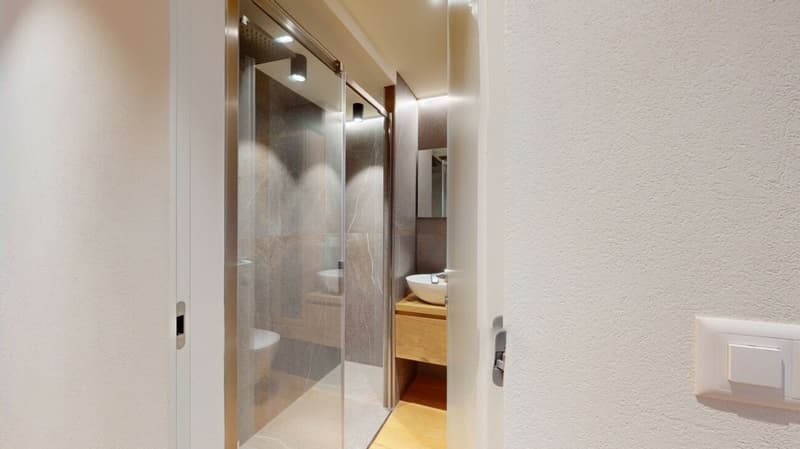 Abitaziun Sungold - St. Moritz (18)