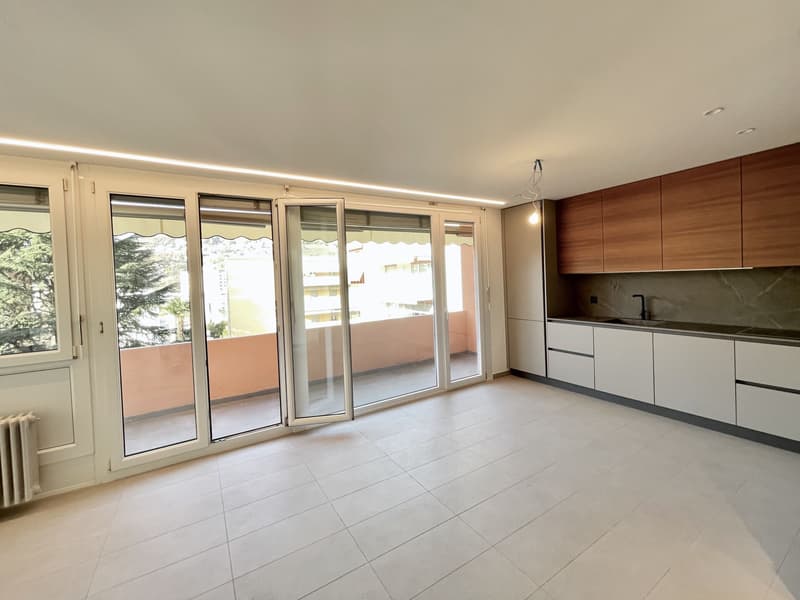 Lugano, Pregassona: Appartamento ristrutturato a nuovo, 2.5 locali (2)