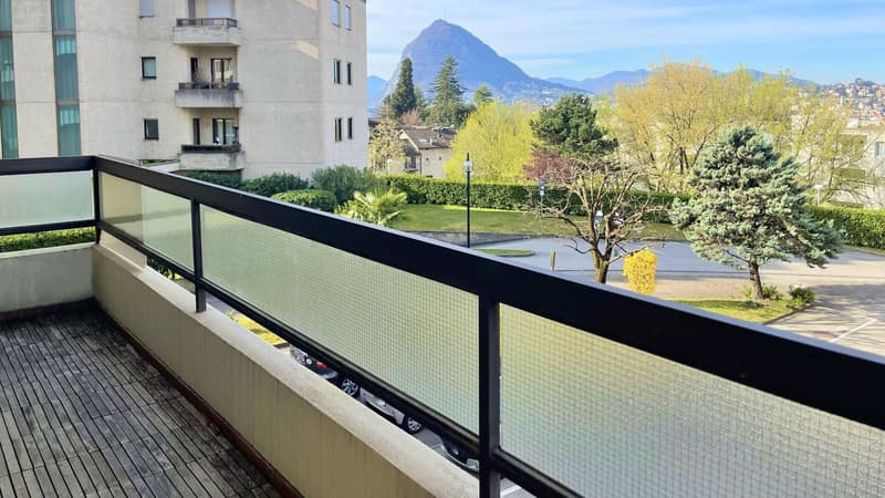 Lugano, Viganello: Appartamento con terrazzo e vista sul San Salvatore, 4.5 locali (1)