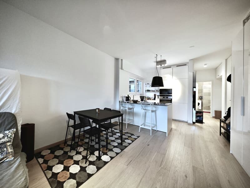 Lugano, Cassarate: Appartamento ristrutturato con terrazzo, pronto da abitare, 1.5 locali (2)