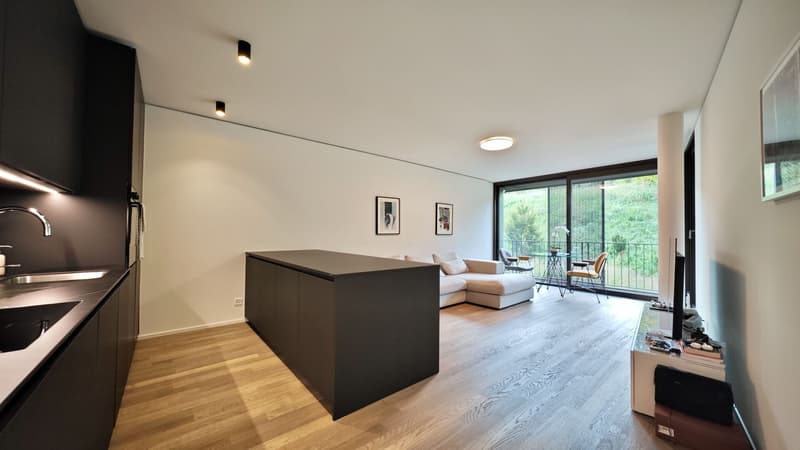Lugano, Sorengo: Appartamento di recente costruzione, 3.5 locali (1)