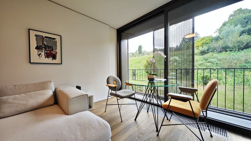 Lugano, Sorengo: Appartamento di recente costruzione, 3.5 locali (2)