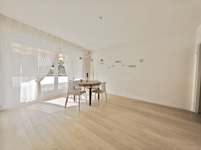 Lugano, Viganello: Comodo appartamento ristrutturato con balconi, 6.5 locali (1)