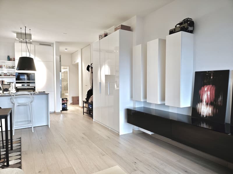 Lugano, Cassarate: Appartamento ristrutturato con terrazzo, 1.5 locali (1)