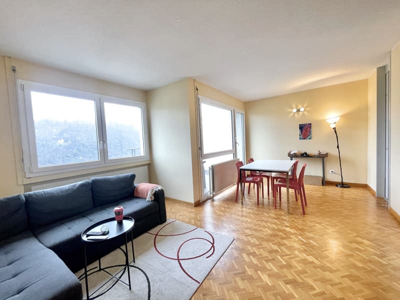 Lugano, Pazzallo: Luminoso appartamento con terrazzo, 2.5 locali (1)