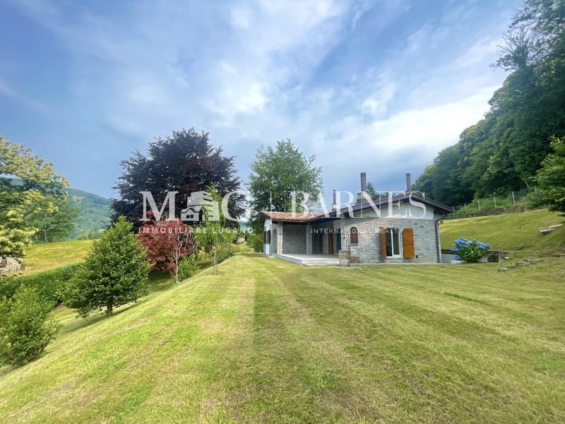 Lugano: Casa immersa nel verde con grande giardino (13)