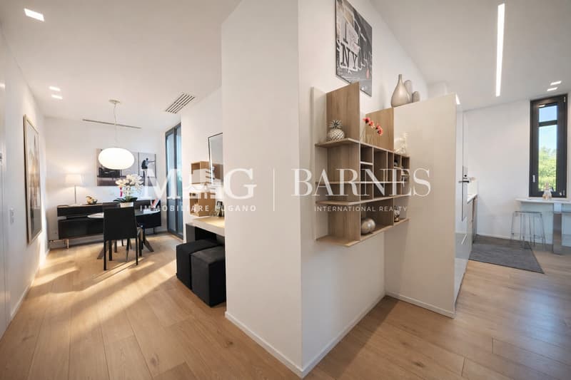 Lugano Centro vicino LAC: Appartamento 2.5 locali vista lago (3)
