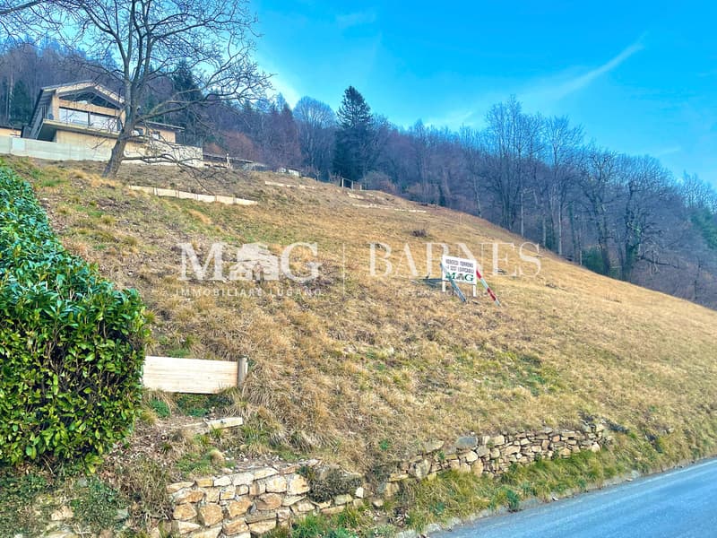 Aranno, Malcantone: Terreno Edificabile 1.230 mq (3)