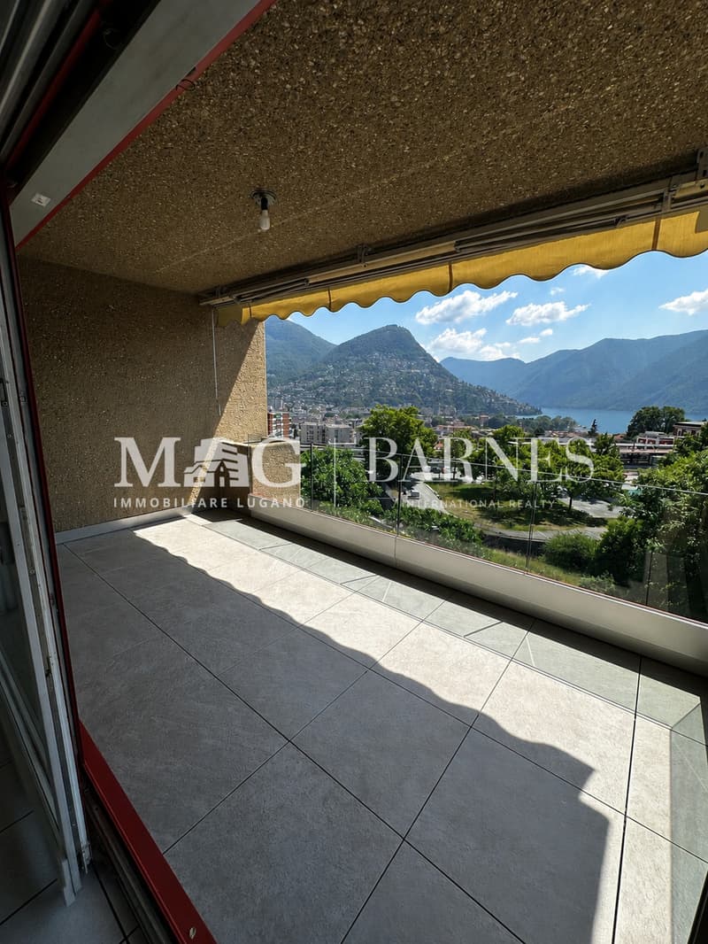 Lugano: Appartamento 2.5 locali centrale con balcone e box auto (6)