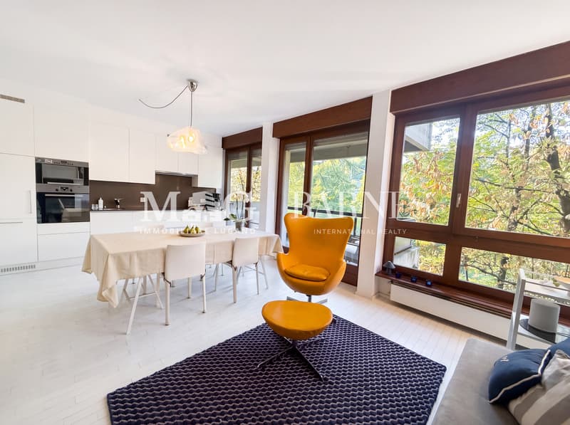 Lugano Loreto: Grazioso 2.5 in contesto residenziale (3)