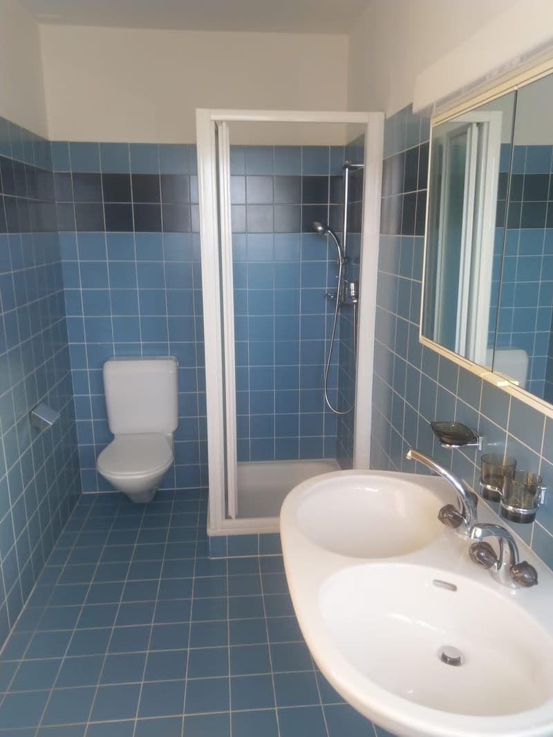 A small bathroom with blue tiles, a shower cubicle, a toilet, and a double sink with a faucet.