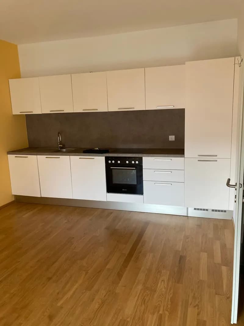 Affittasi appartamento a Chiasso (2)