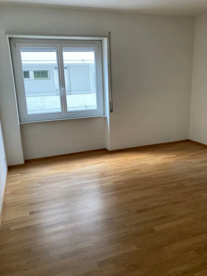Affittasi appartamento a Chiasso (7)