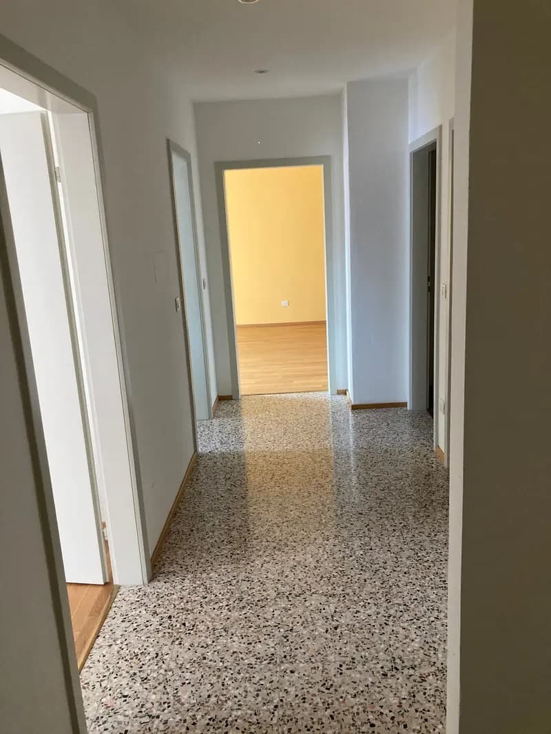 Affittasi appartamento a Chiasso (4)