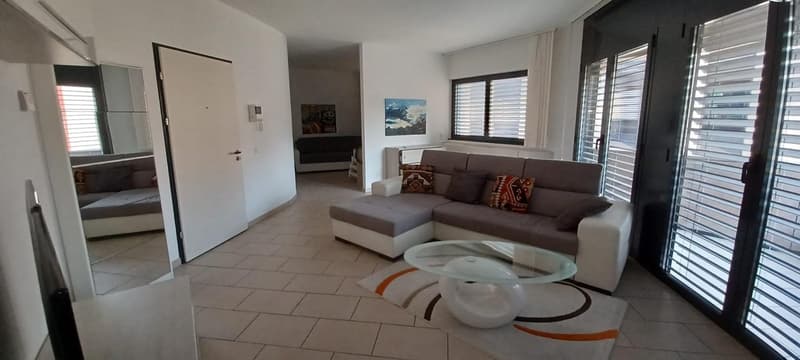 Affittasi appartamento ammobiliato di 1.5 locali a Lugano (1)