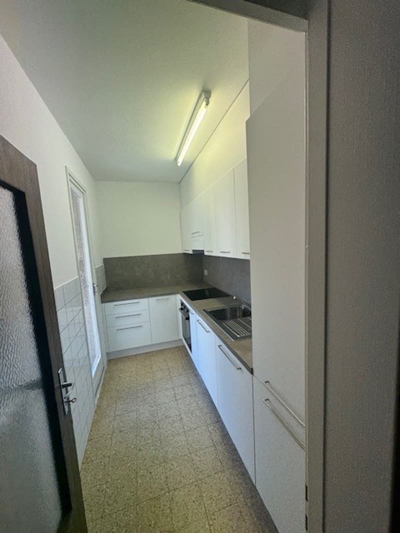 Appartamento di 3 locali RINNOVATO in via delle Aie 6, Lugano (6)