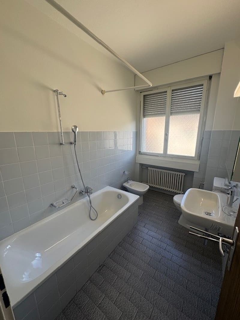 Appartamento di 3 locali RINNOVATO in via delle Aie 6, Lugano (8)