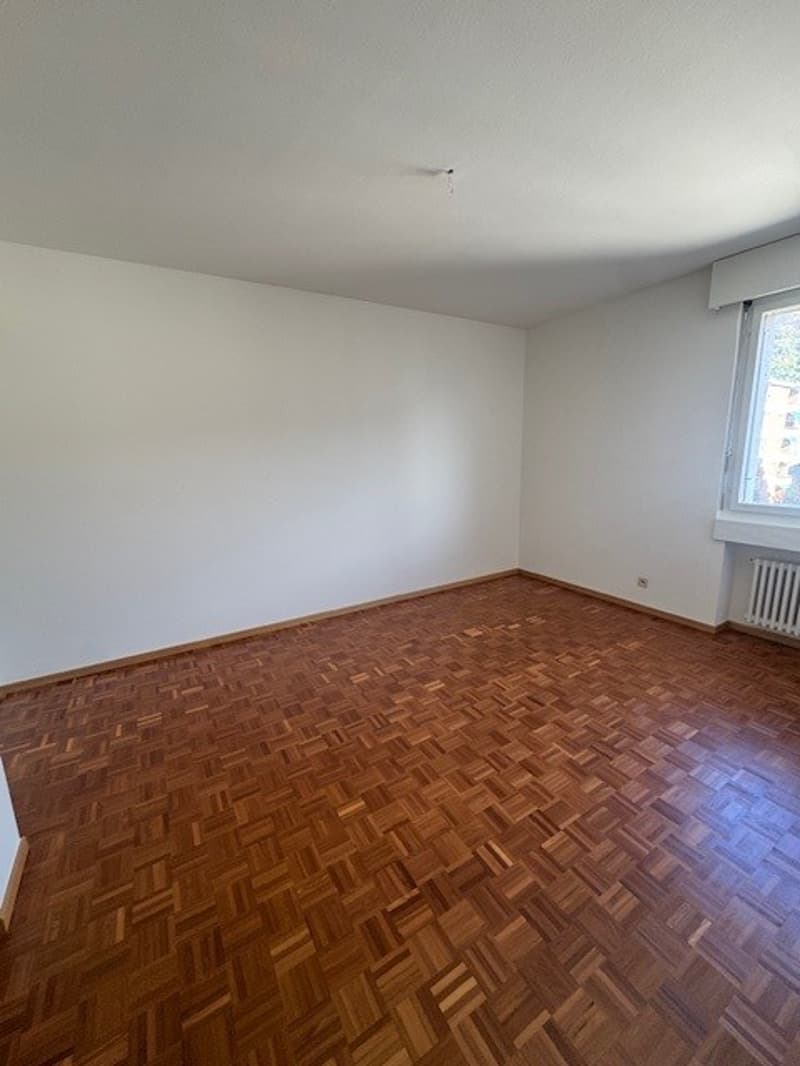 Appartamento di 3 locali RINNOVATO in via delle Aie 6, Lugano (7)