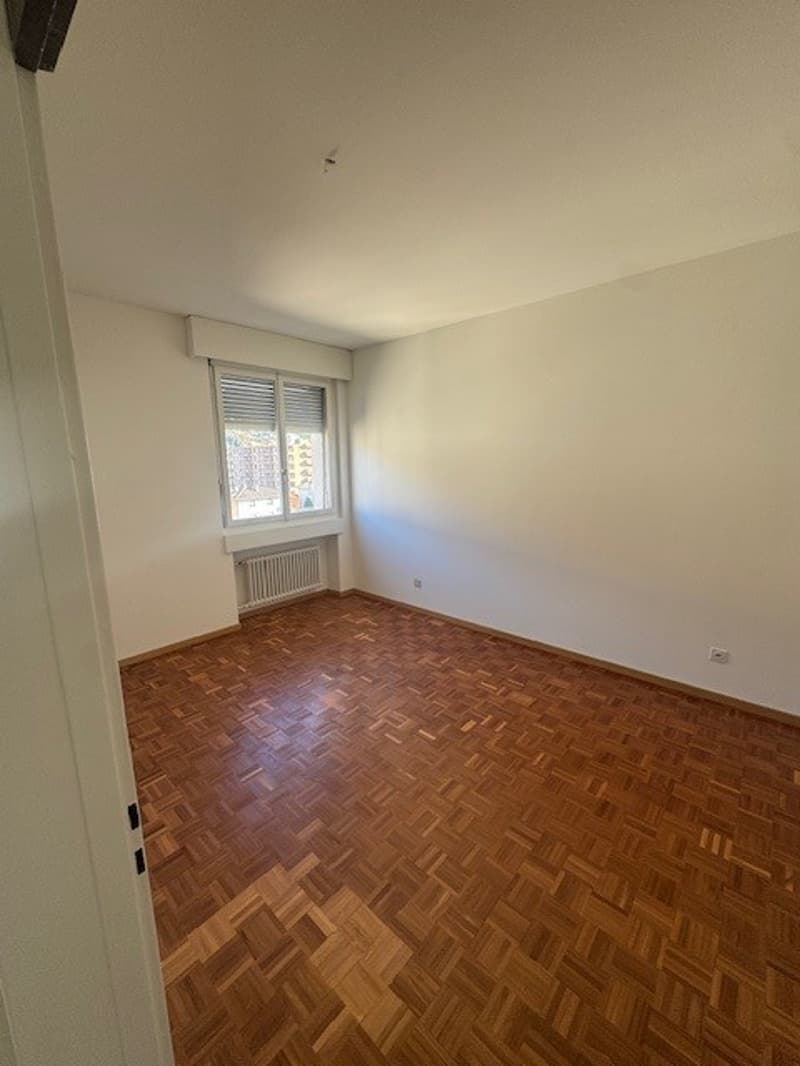 Appartamento di 3 locali RINNOVATO in via delle Aie 6, Lugano (10)