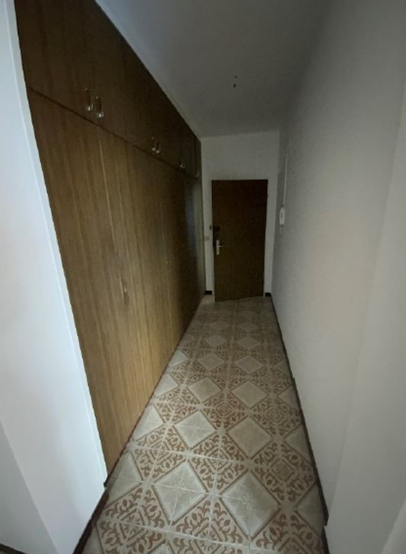 Spazioso appartamento di 4 locali in via delle Aie 6, Lugano (2)