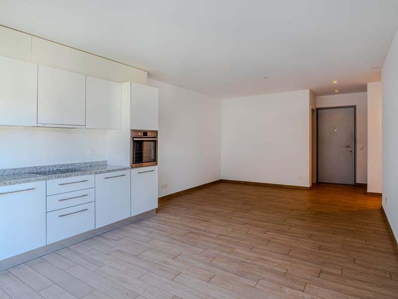 The image shows a modern, open-plan apartment with a kitchen and living area. The kitchen features white cabinets and drawers, a built-in oven, and a granite countertop. The living area has a hardwood floor and a neutral color scheme. The apartment appear
