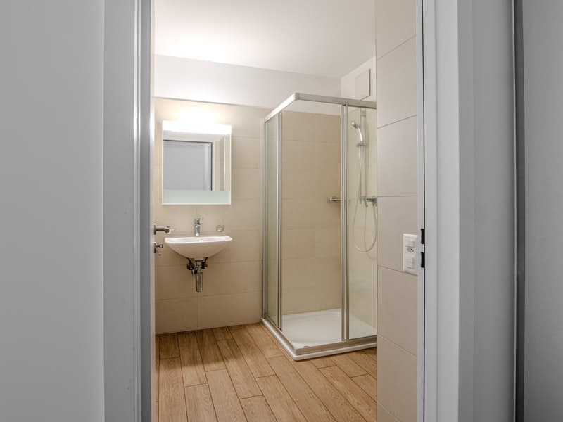 Bathroom with a sink, mirror, and a glass-enclosed shower stall. The floor is made of wood-like tiles.