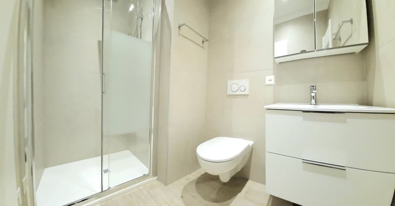 White shower cubicle, white toilet, white cabinet, silver tap