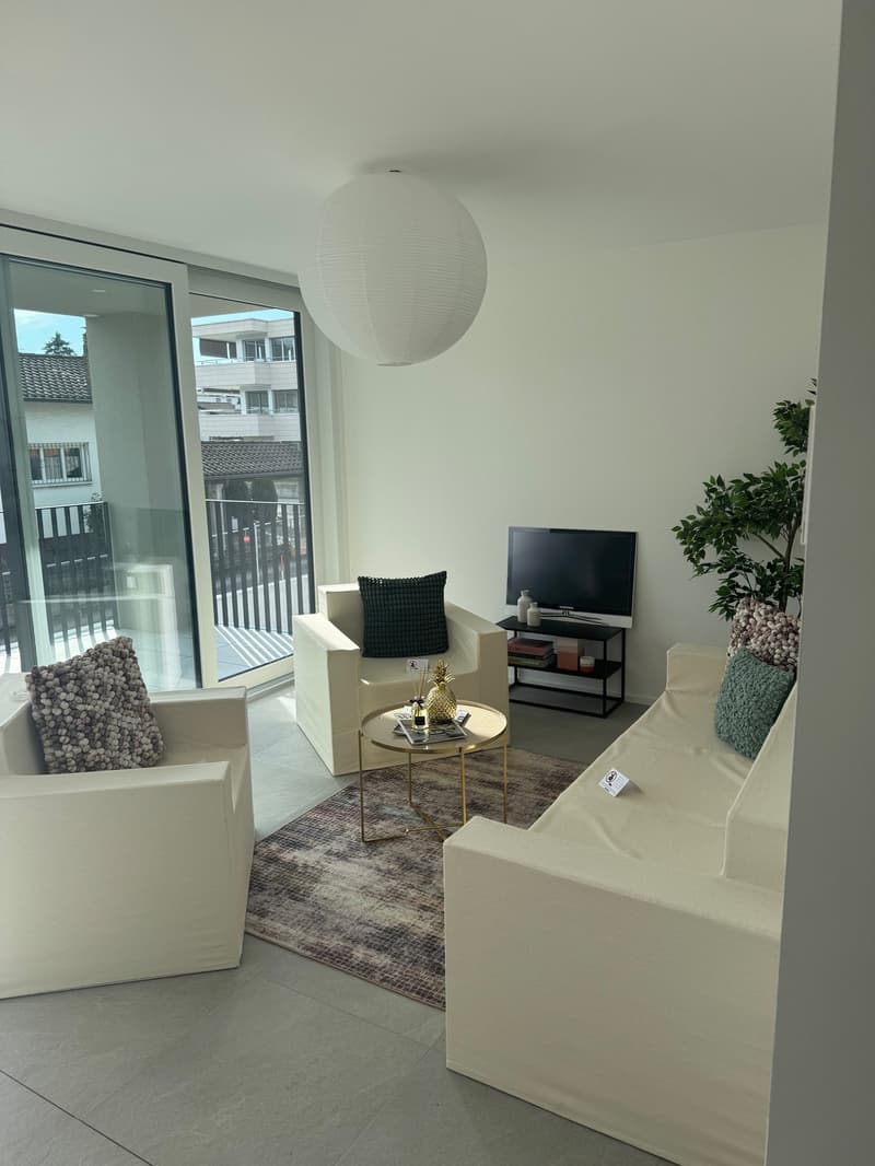 white furniture, large windows, balcony, carpet, television, glass table, plant