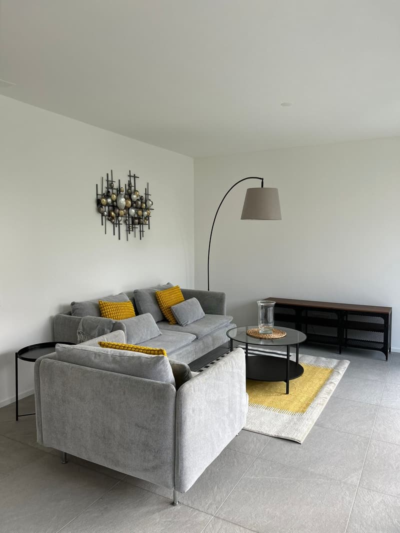 Modern grey sofas, glass coffee table, grey rug, arched floor lamp, wooden entertainment unit, wall decor, white walls