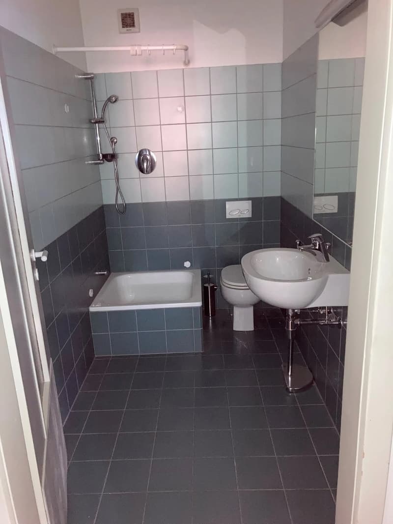 Small bathroom with bathtub, toilet, sink, and shower