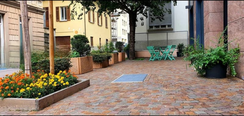 cobblestone pathway, green chairs, table, plants, flowers, tree, buildings