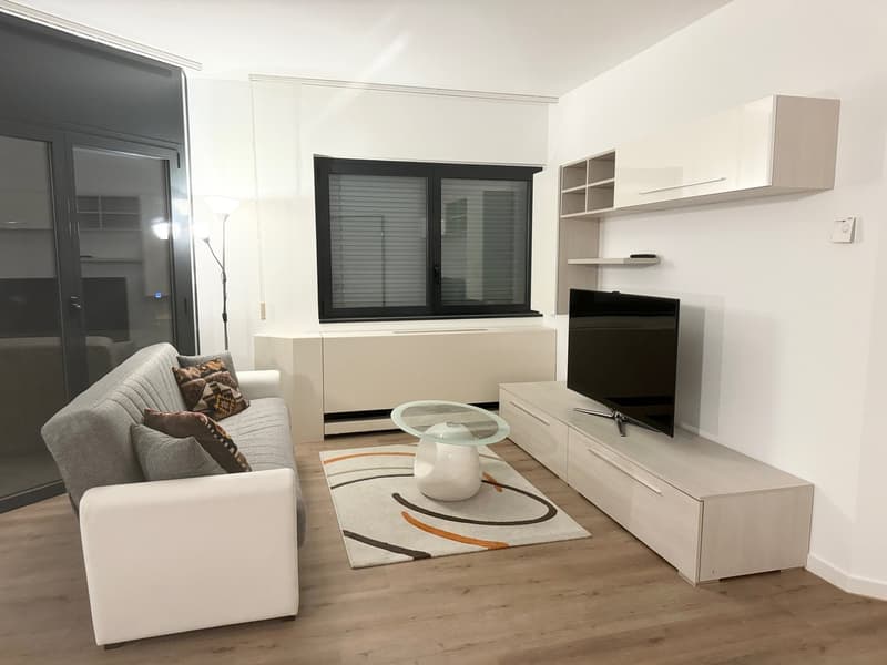 Affittasi luminoso e ampio appartamento di 3.5 locali (3)