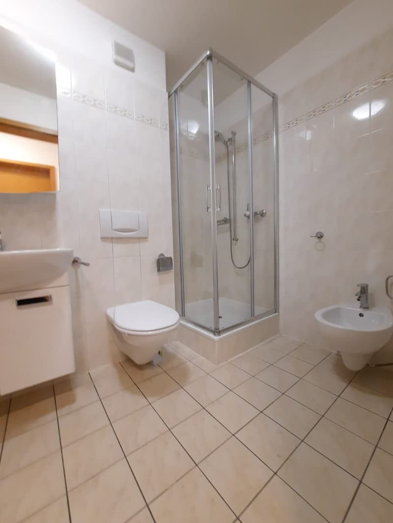 AFFITTASI 4 LOCALI A CASLANO (13)
