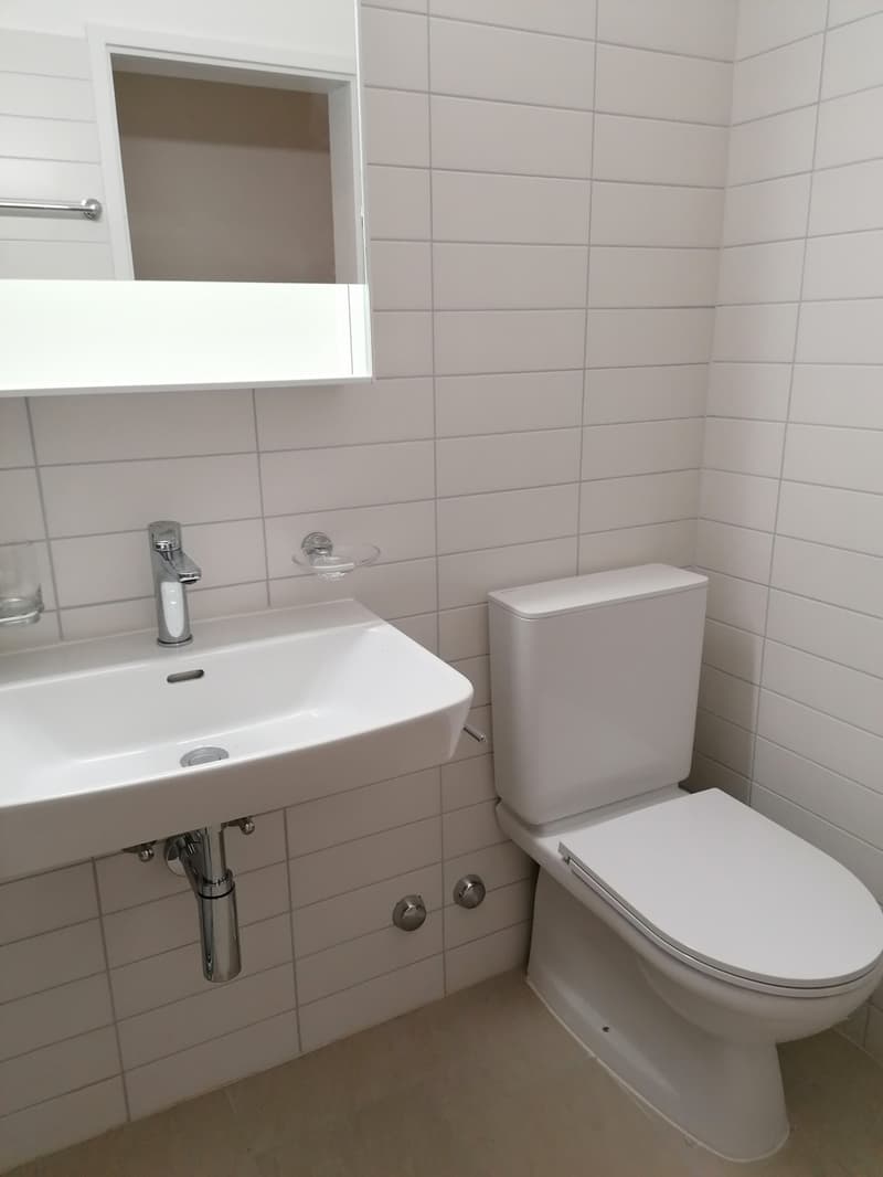 Affittasi 3.5 locali con balcone a Bellinzona (8)