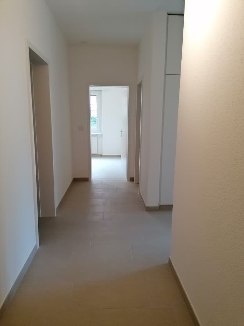 Affittasi 3.5 locali con balcone a Bellinzona (5)